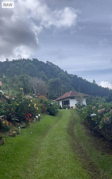 Sitio Com Piscina Natural E Cascata, Com Linda Vista Em Lumiar. Exterior foto