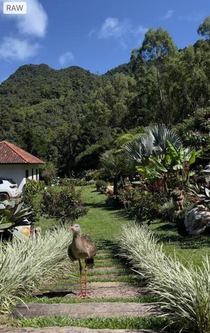 Sitio Com Piscina Natural E Cascata, Com Linda Vista Em Lumiar. Exterior foto